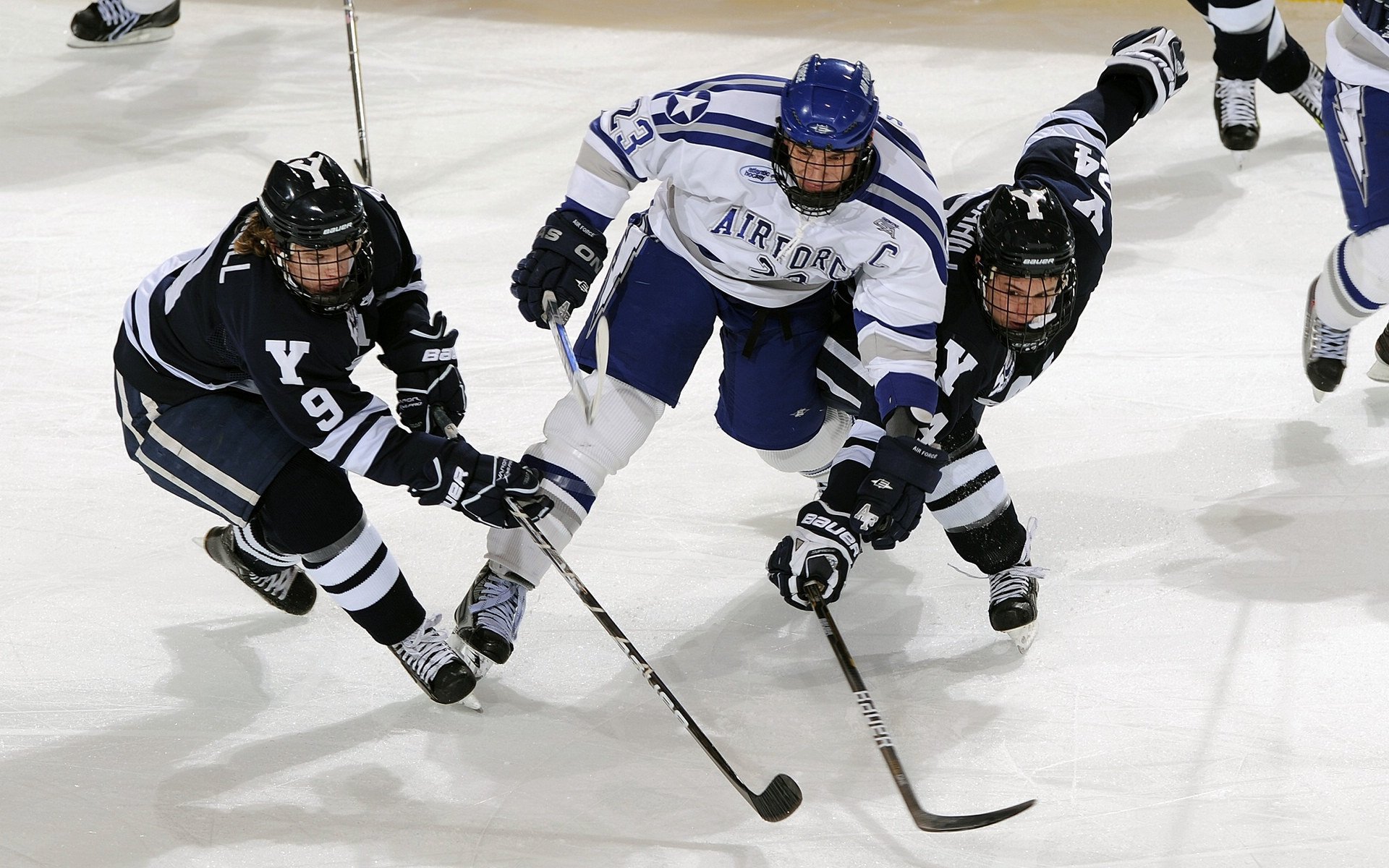 MotoGP年度总冠军出炉 新秀打破老牌三强格局