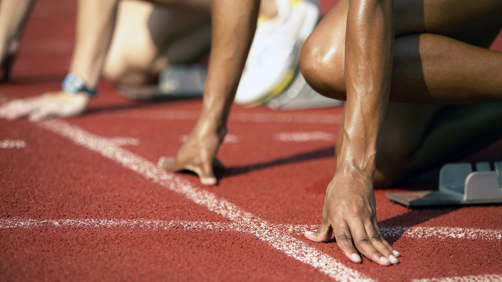 篮球新星成长故事